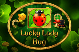 Lucky Lady Bug